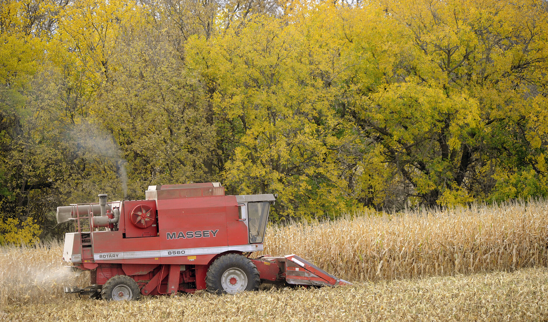 Harvest time